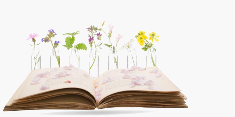 توثيق الطب العربي